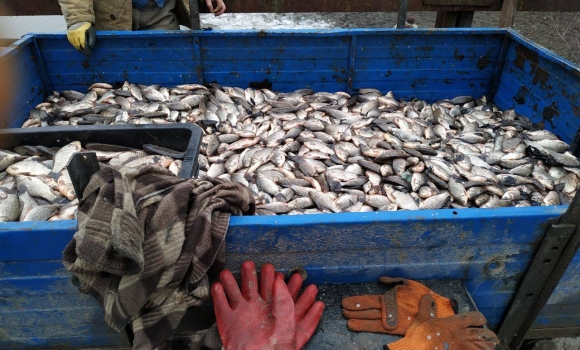 В Літинському районі чоловік виловив понад півтонни риби