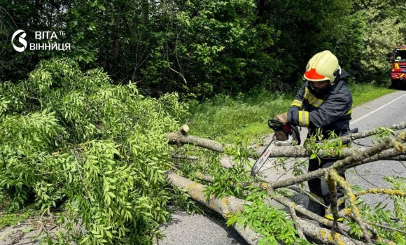 Буревій на Вінниччині десятки повалених дерев та заблоковані траси Буревій на Вінниччині десятки повалених дерев та заблоковані траси