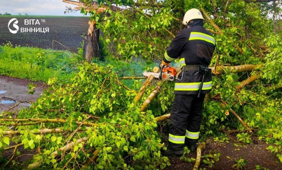 Дерева падали прямо на дорогу наслідки негоди у двох районах Вінницької області Дерева падали прямо на дорогу наслідки негоди у двох районах Вінницької області
