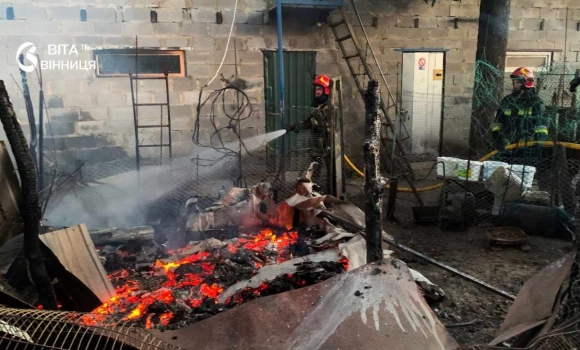 Дев'ять пожеж за добу на Вінниччині горіли поля, веранда та гараж з дровами Дев'ять пожеж за добу на Вінниччині горіли поля, веранда та гараж з дровами