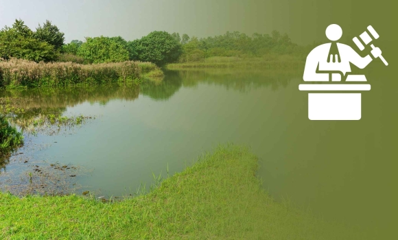 Липовецькій громаді повернули водойму, яка протиправно перейшла в оренду Липовецькій громаді повернули водойму, яка протиправно перейшла в оренду