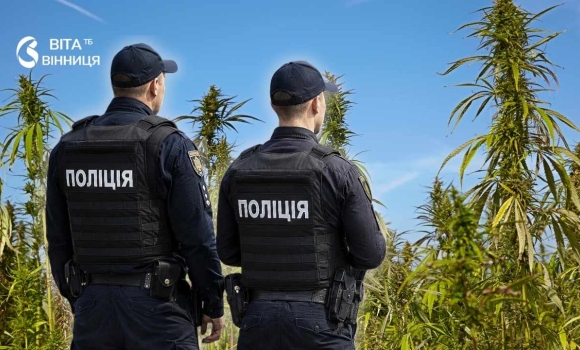 На Вінниччині патрульні відреагували на сигнал про домашнє насильство, і знайшли посіви конопель На Вінниччині патрульні відреагували на сигнал про домашнє насильство, і знайшли посіви конопель