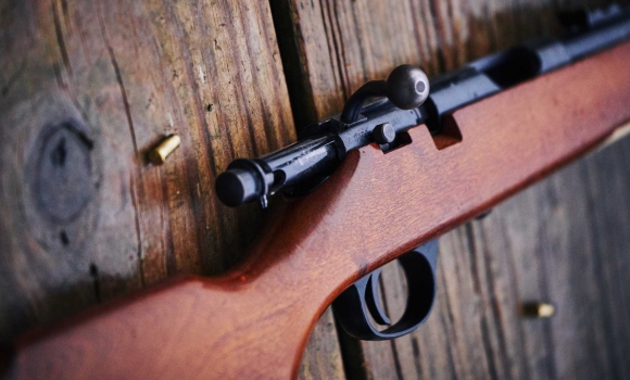 На Вінниччині поліція задекларувала 500 одиниць зброї На Вінниччині поліція задекларувала 500 одиниць зброї