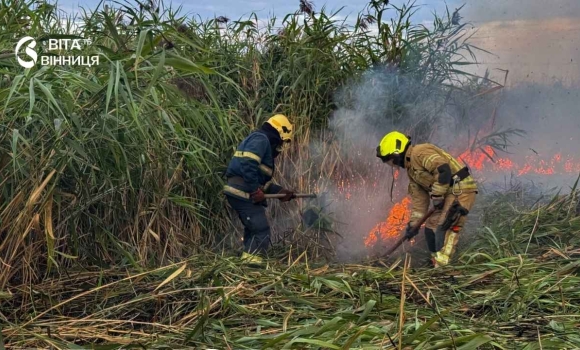 На Вінниччині за добу вигоріло понад два гектари землі На Вінниччині за добу вигоріло понад два гектари землі