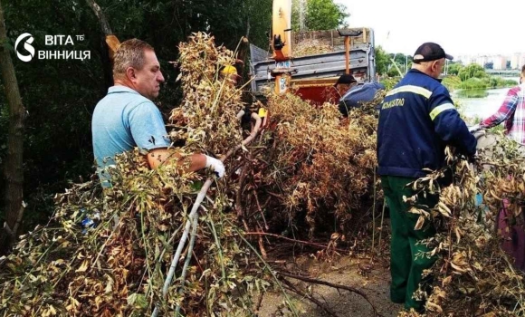 Назбирали три машини гілля у Вінниці влаштували другу толоку на набережній Південного Бугу Назбирали три машини гілля у Вінниці влаштували другу толоку на набережній Південного Бугу