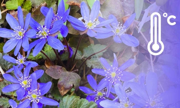 Парасольки під рукою синоптики попередили вінничан про зміну погоди 16 квітня Парасольки під рукою синоптики попередили вінничан про зміну погоди 16 квітня