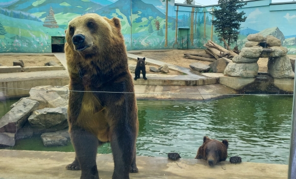 Подільский зоопарк у Вінниці з 30 жовтня працюватиме на годину менше