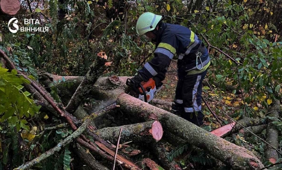 Повалені дерева перекрили дороги у трьох громадах і Вінниці рятувальники розчищали проїзд Повалені дерева перекрили дороги у трьох громадах і Вінниці рятувальники розчищали проїзд