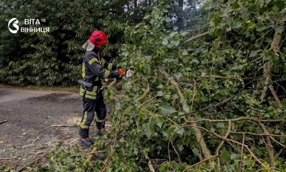 Шість виїздів за добу рятувальники Вінниччини розчищали дороги від повалених дерев Шість виїздів за добу рятувальники Вінниччини розчищали дороги від повалених дерев