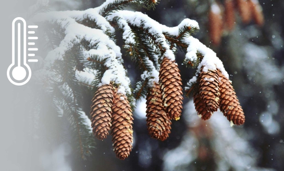 Сніжну та морозну погоду прогнозують у Вінниці 5 січня Сніжну та морозну погоду прогнозують у Вінниці 5 січня