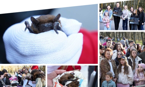 У Вінниці на волю випустили кажанів після зимової реабілітації У Вінниці на волю випустили кажанів після зимової реабілітації