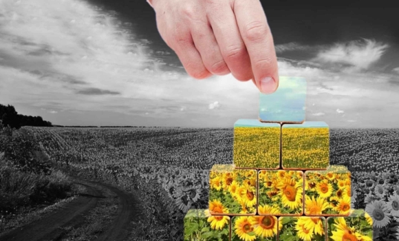 У Вінниці ветерани отримають шанс стати сертифікованими координаторами у сфері відбудови У Вінниці ветерани отримають шанс стати сертифікованими координаторами у сфері відбудови