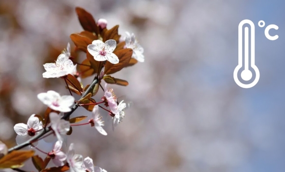 Від похмурої суботи до морозного понеділка метеорологи попереджають вінничан про зміну погоди Від похмурої суботи до морозного понеділка метеорологи попереджають вінничан про зміну погоди