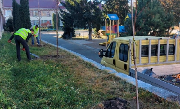 У Вінниці висадили 204 дерева у дворах шкіл та садочків