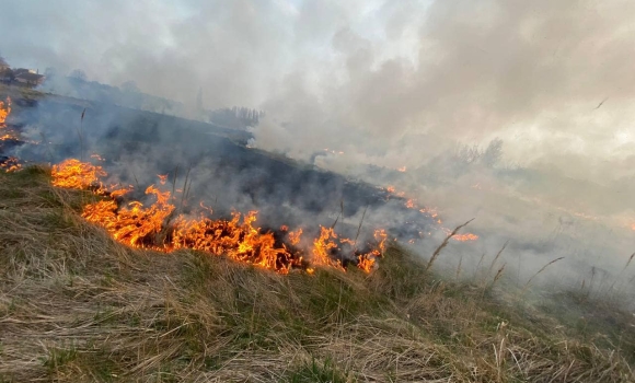За добу на Вінниччині загасили сім пожеж, що сталися в екосистемах