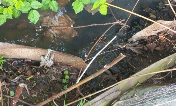 Зливали відходи прямо в річку у Вінниці викрили екологічного порушника Зливали відходи прямо в річку у Вінниці викрили екологічного порушника