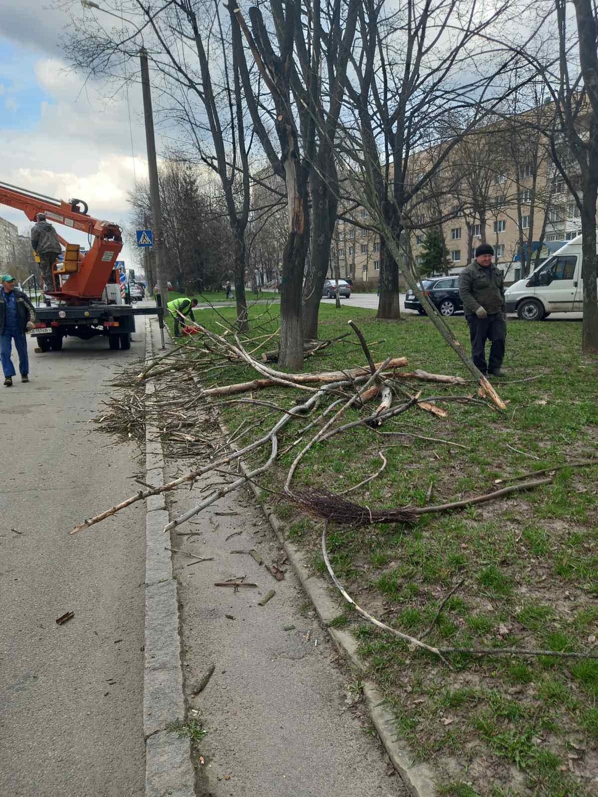 На 30-ти вулицях Вінниці провели весняну обрізку дерев