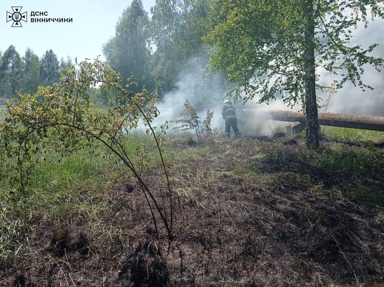 За добу рятувальники Вінниччини загасили шість пожеж в екосистемах