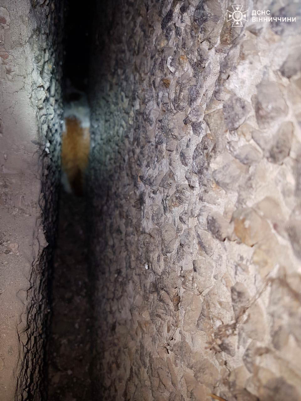 У Вінниці врятували котика, який застряг між бетонними плитами